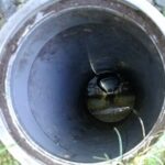 札幌市清田区の水道修理